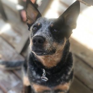 Meet your Posher, Jeremy